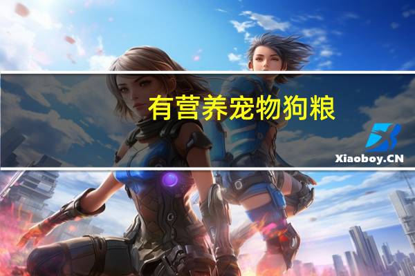 有营养宠物狗粮