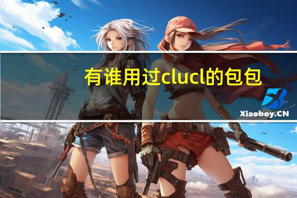 有谁用过clucl的包包，质量怎么样