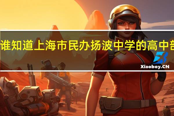 有谁知道上海市民办扬波中学的高中部怎么样
