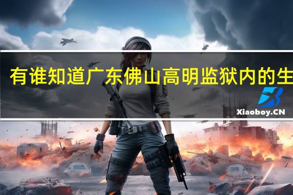有谁知道广东佛山高明监狱内的生活吗
