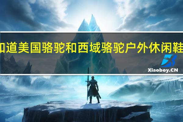 有谁知道美国骆驼和西域骆驼户外休闲鞋是一回事吗