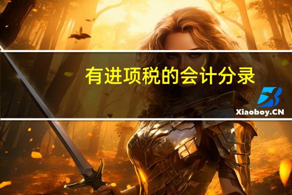 有进项税的会计分录（增值税进项税会计分录）