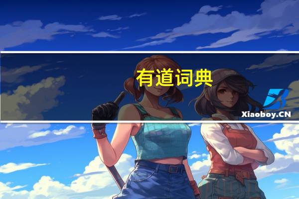 有道词典（有道词库）