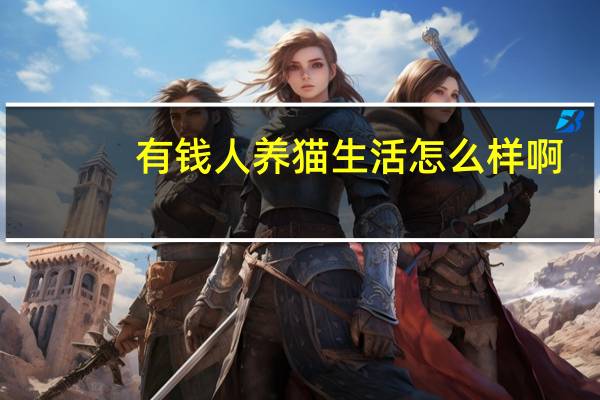 有钱人养猫生活怎么样啊