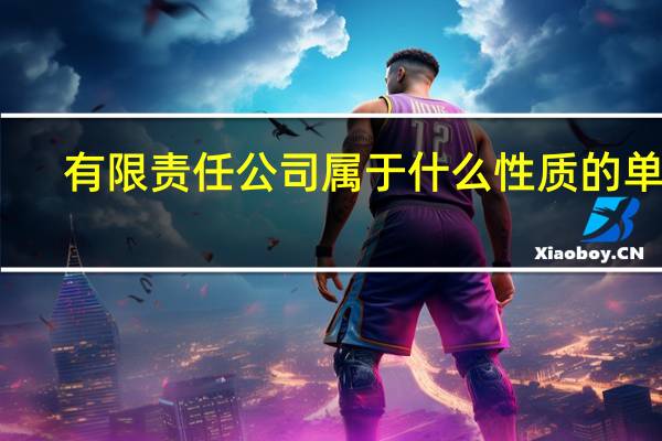 有限责任公司属于什么性质的单位（有限责任公司是什么单位性质）