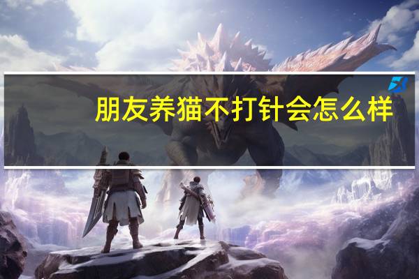 朋友养猫不打针会怎么样