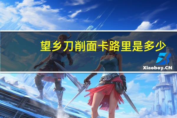 望乡 刀削面卡路里是多少