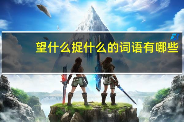 望什么捉什么的词语有哪些?