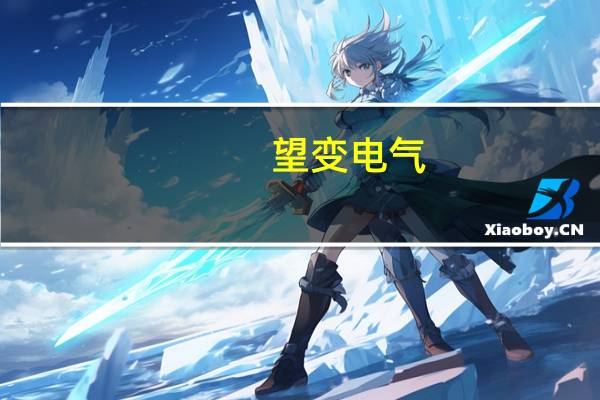 望变电气：收购子公司黔南望江40%股权