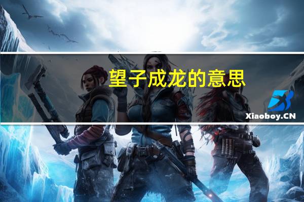 望子成龙的意思