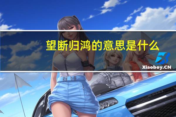 望断归鸿的意思是什么