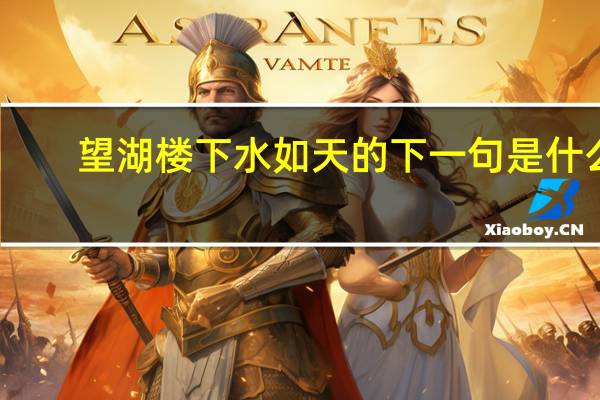 望湖楼下水如天的下一句是什么