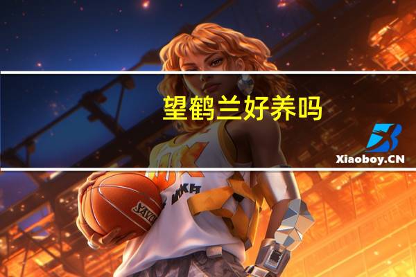 望鹤兰好养吗