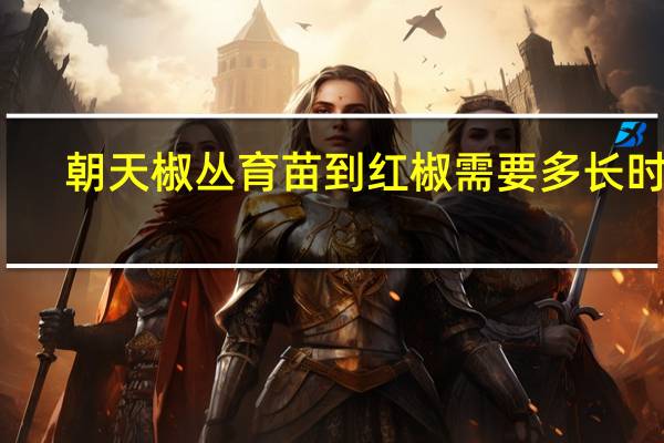 朝天椒丛育苗到红椒需要多长时间