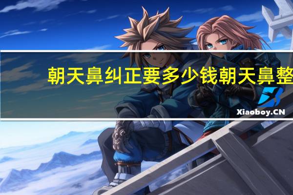 朝天鼻纠正要多少钱 朝天鼻整形要多少钱