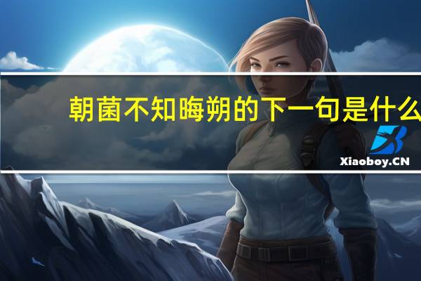 朝菌不知晦朔的下一句是什么