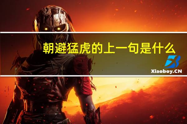 朝避猛虎的上一句是什么