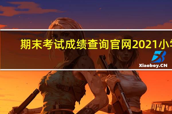期末考试成绩查询官网2021小学（期末考试成绩查询小学）