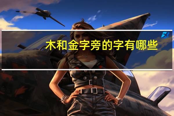 木和金字旁的字有哪些