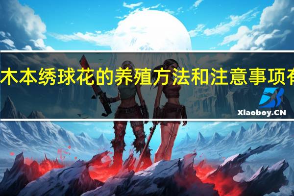木本绣球花的养殖方法和注意事项有哪些