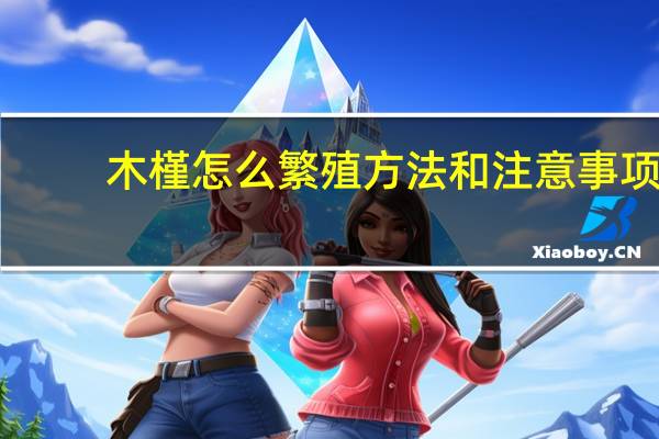 木槿怎么繁殖方法和注意事项