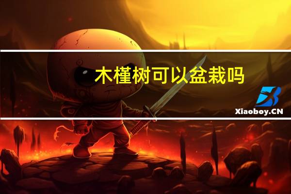 木槿树可以盆栽吗