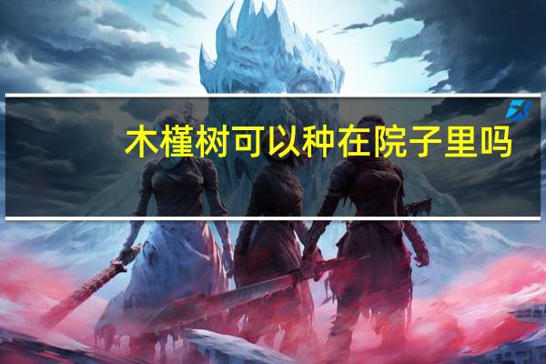木槿树可以种在院子里吗