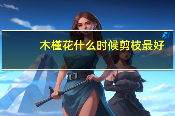 木槿花什么时候剪枝最好