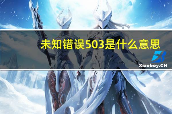 未知错误503是什么意思（未知错误21）