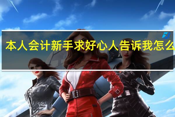 本人会计新手求好心人告诉我怎么报税