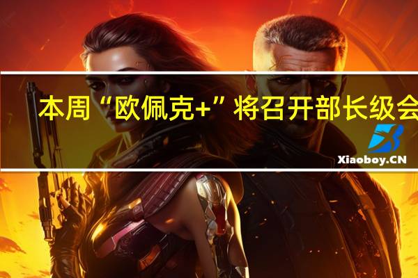 本周“欧佩克+”将召开部长级会议