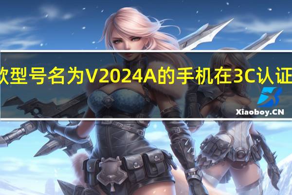 本周一款型号名为V2024A的手机在3C认证网站上被发现