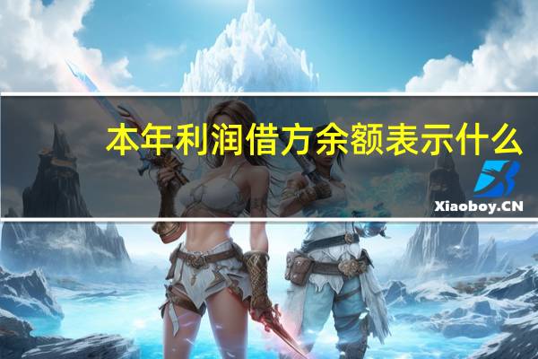 本年利润借方余额表示什么（本年）