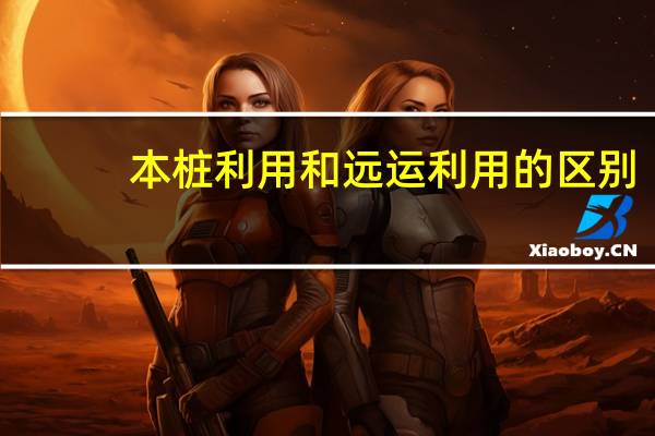 本桩利用和远运利用的区别