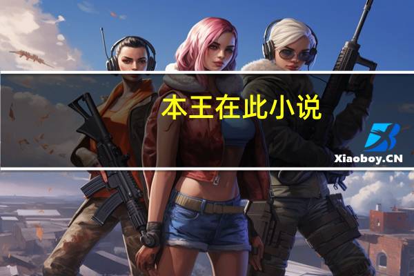 本王在此小说（本王在此）