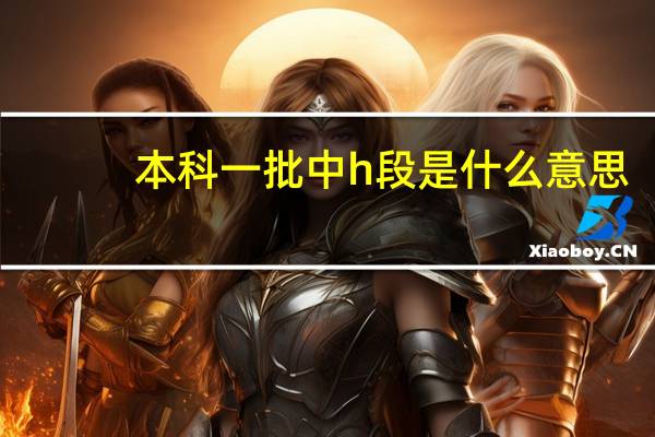 本科一批中h段是什么意思