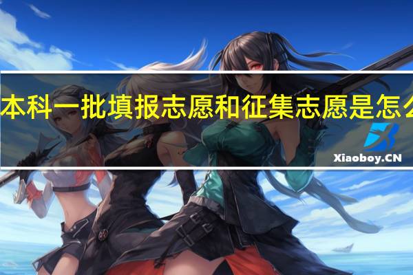本科一批填报志愿和征集志愿是怎么回事