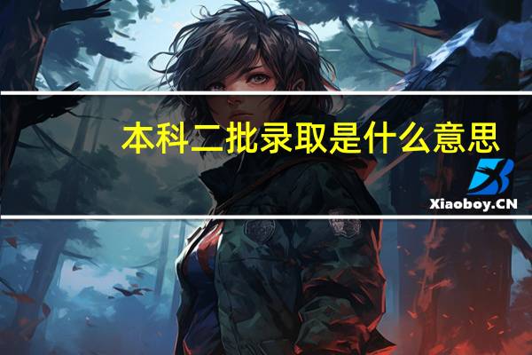 本科二批录取是什么意思