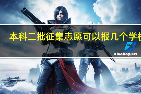 本科二批征集志愿可以报几个学校啊