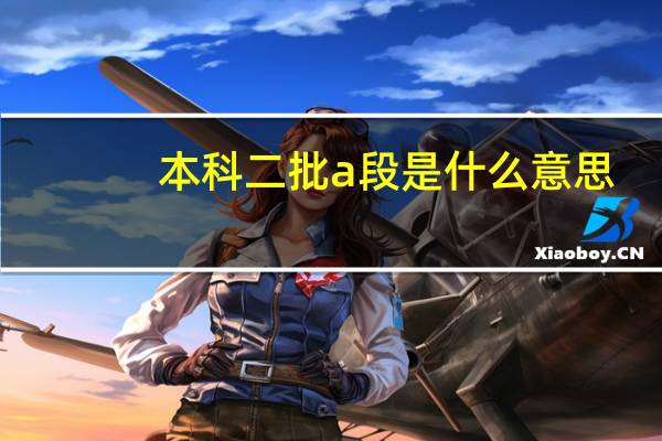 本科二批a段是什么意思