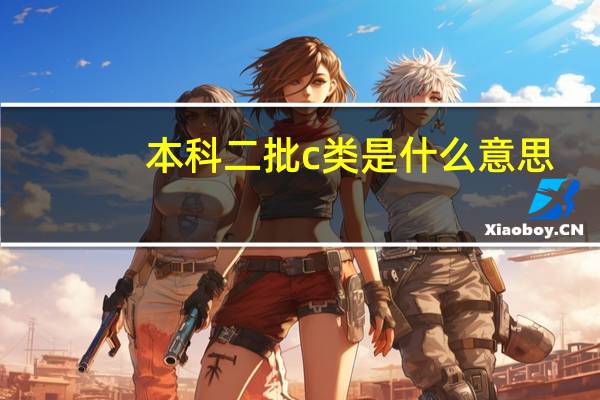 本科二批c类是什么意思
