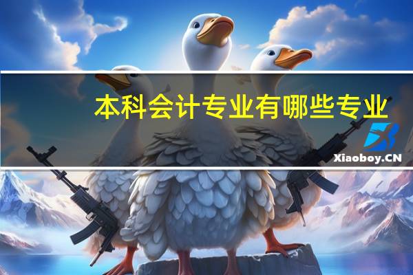 本科会计专业有哪些专业