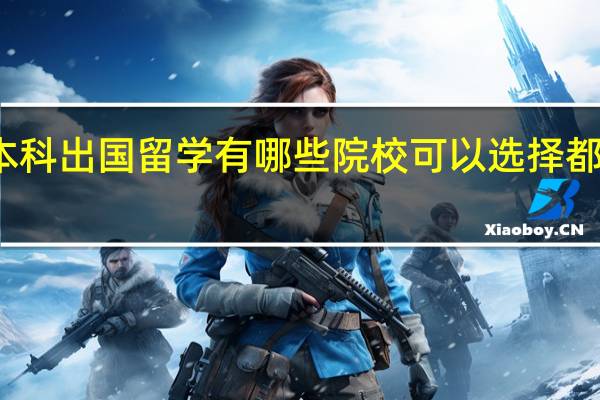 本科出国留学有哪些院校可以选择 都有什么