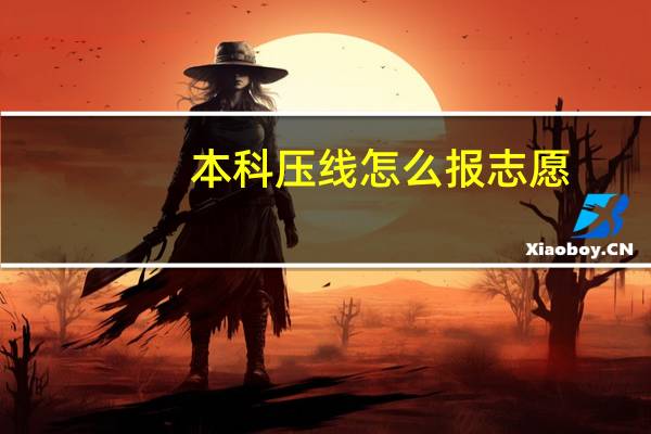 本科压线怎么报志愿