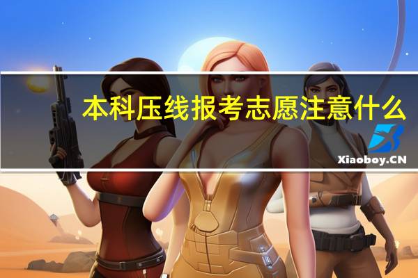 本科压线报考志愿注意什么