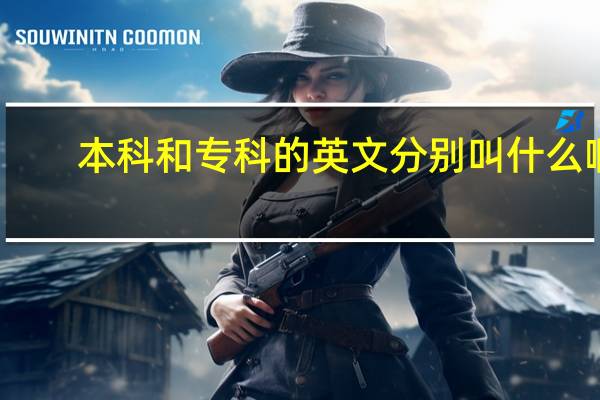 本科和专科的英文分别叫什么啊