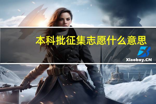 本科批征集志愿什么意思