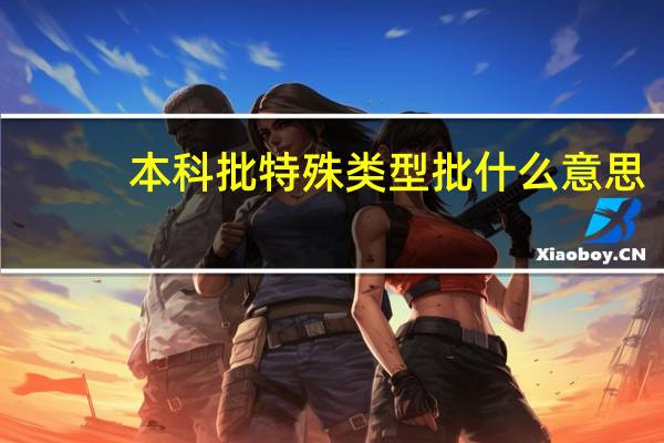 本科批特殊类型批什么意思