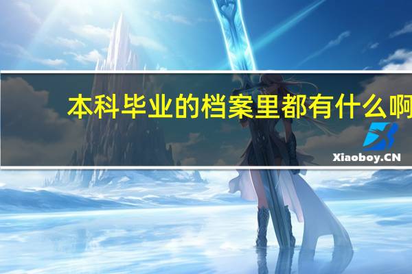 本科毕业的档案里都有什么啊