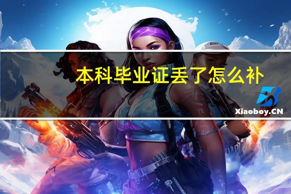本科毕业证丢了怎么补